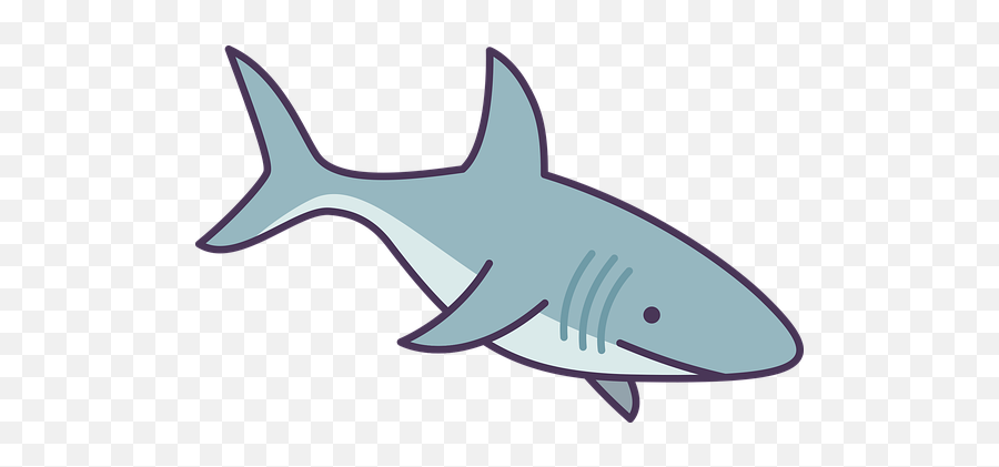 100 Free Sharks U0026 Fish Illustrations - Pixabay Great White Shark Emoji,Shark Emoji