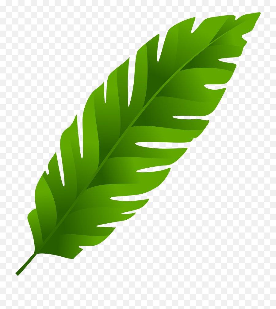Free Leaf Clipart Transparent Background Download Free Clip Emoji,Marijuana Leaf Emoji