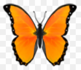 Orange Orangeemoji Sticker - T Shirt Roblox Aesthetic