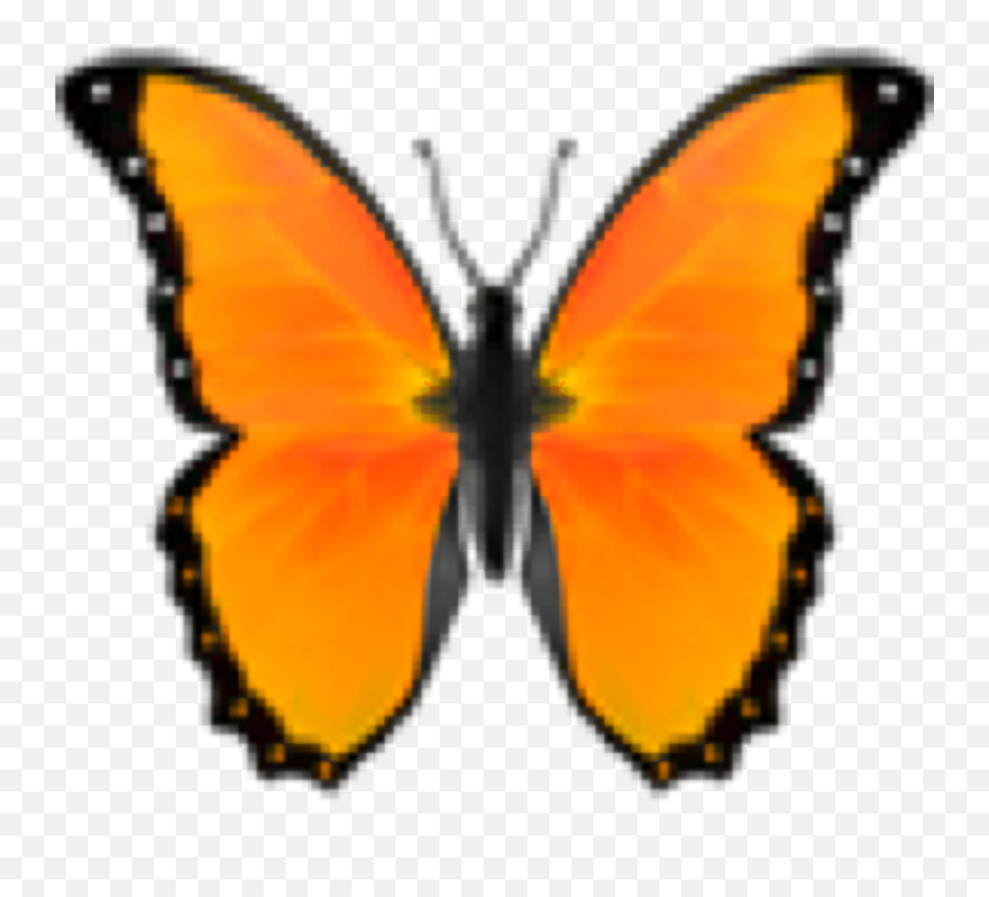 Orange Orangeemoji Sticker - T Shirt Roblox Aesthetic,Butterfly Emoji Iphone