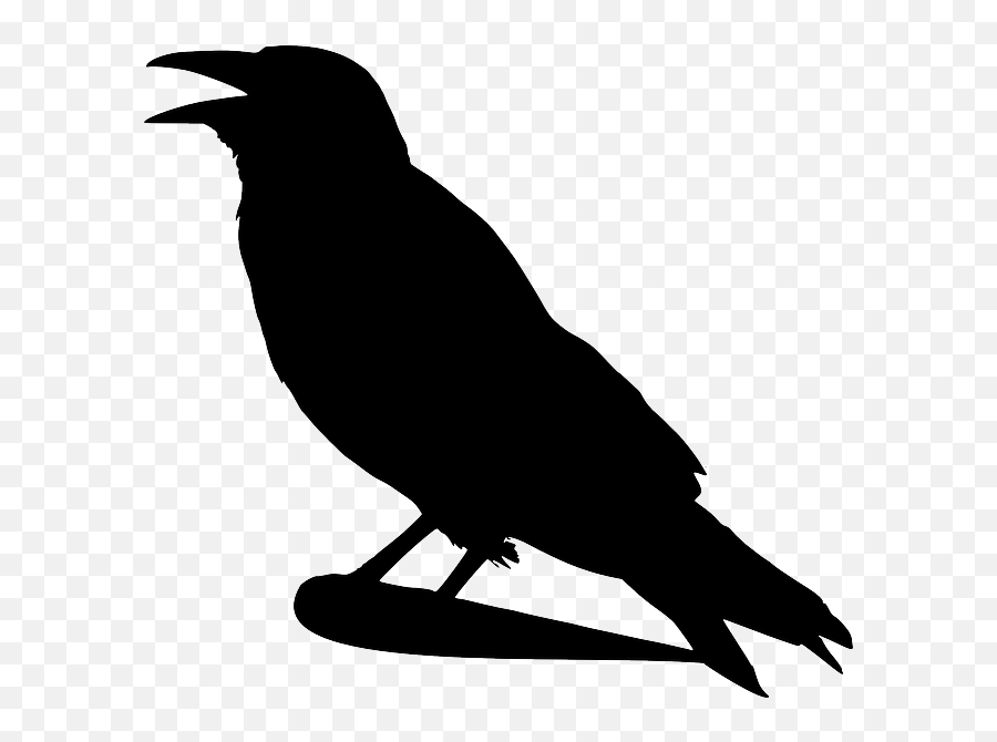 Raven Png - Crow Clip Art Emoji,Beard Emoji