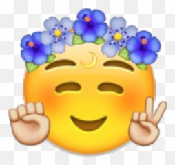 Emoji Emojis Cool Flowercrown Crown - Transparent Cute Emoji Hd,Cool Emojis