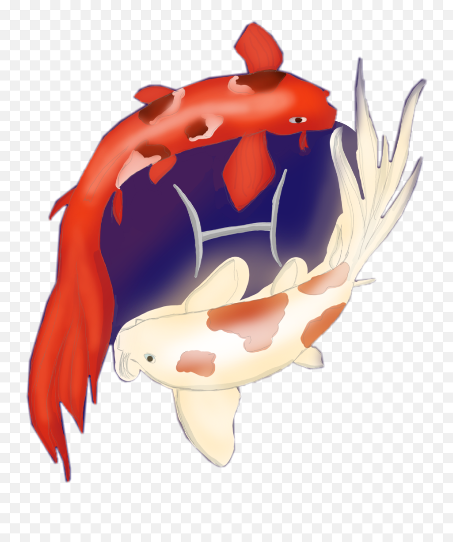Koi Fish Freetoedit - Illustration Emoji,Koi Fish Emoji