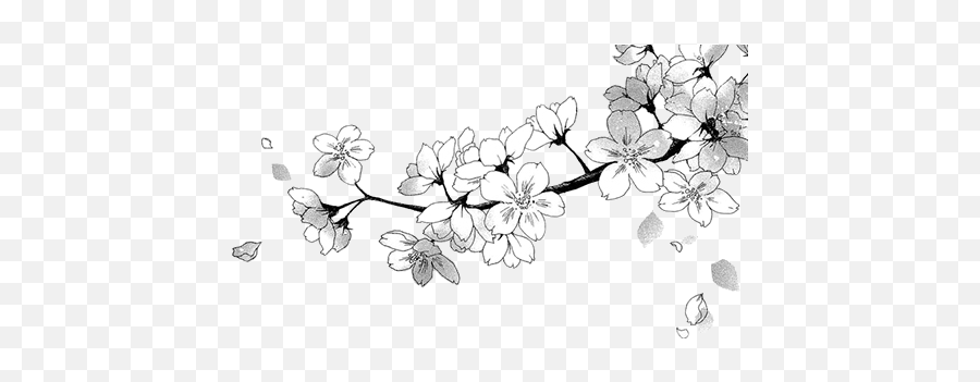 Flower Flowers Nature Blackandwhite Aesthetic Edit Whit - Black And White Aesthetic Transparent Emoji,Black And White Flower Emoji