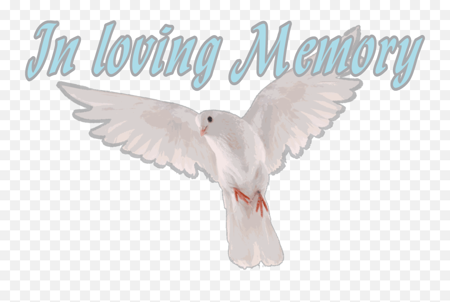 Freetoedit Rip Restinpeace Memory - European Herring Gull Emoji,Memories Emoji