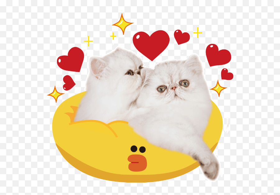 Kitty Cat Animal Kitten Vector - Kitten Emoji,Kitten Emoticons