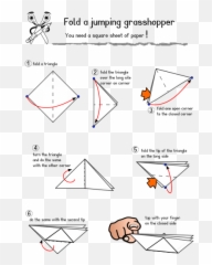 Paper Grasshopper Vector Illustration - Diagram Emoji