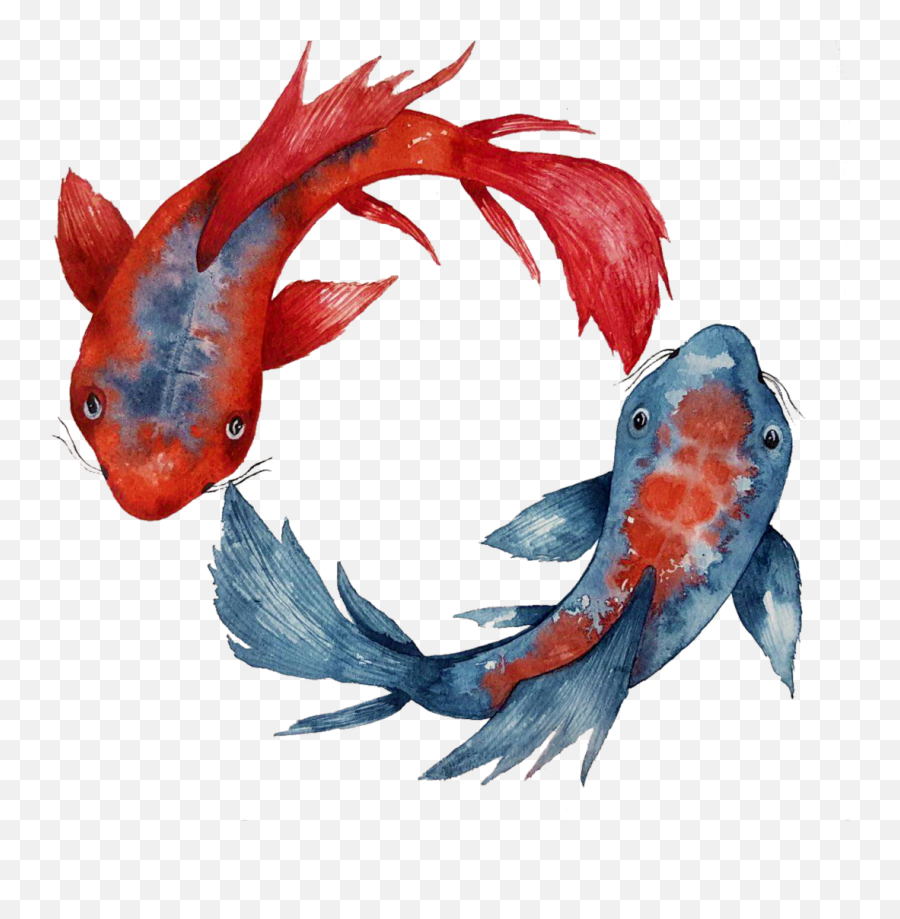 Yin Yang Koi Fish Painting At - Koi Fish Yin Yang Png Emoji,Koi Fish Emoji