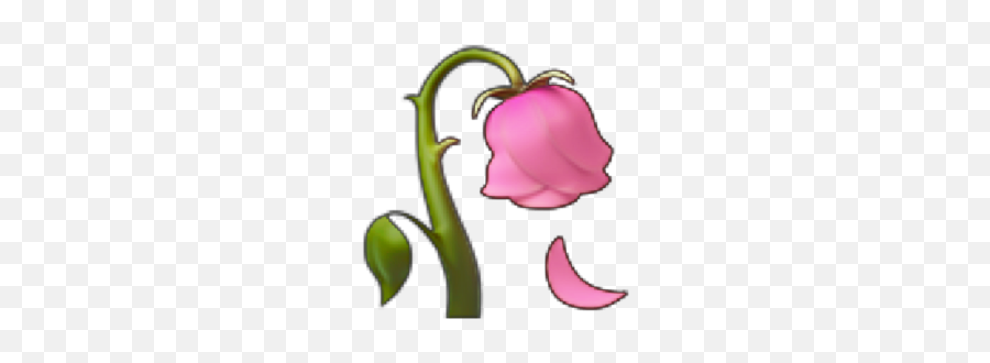 Iphone Iphoneemoji Emoji Pink Aesthetic - Tulip,Bud Emoji