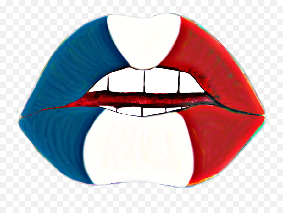 France Drapeau Frenchflag French Francais Bleublancroug - Tongue Emoji,French Flag Emoji