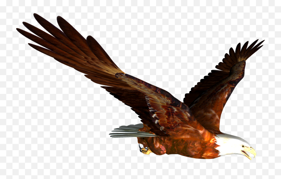 Bald Eagle Free Eagle Clip Art Pictures - Flying Eagle Gif Png Emoji,Eagle Emoji