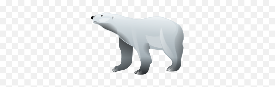 Polar Png And Vectors For Free Download - Polar Bear Illustration Png Emoji,Polar Bear Emoji