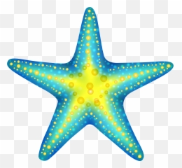 Realistic Transparent Background Starfish - Transparent Background Starfish Clipart Emoji,Starfish Emoji