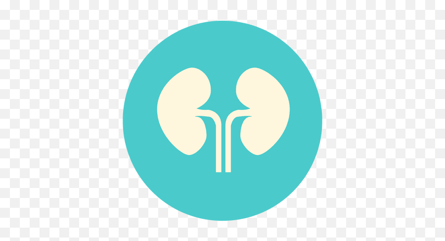 Kidney Vector Transparent U0026 Png Clipart Free Download - Ywd Quiknode Logo Emoji,Kidney Emoji