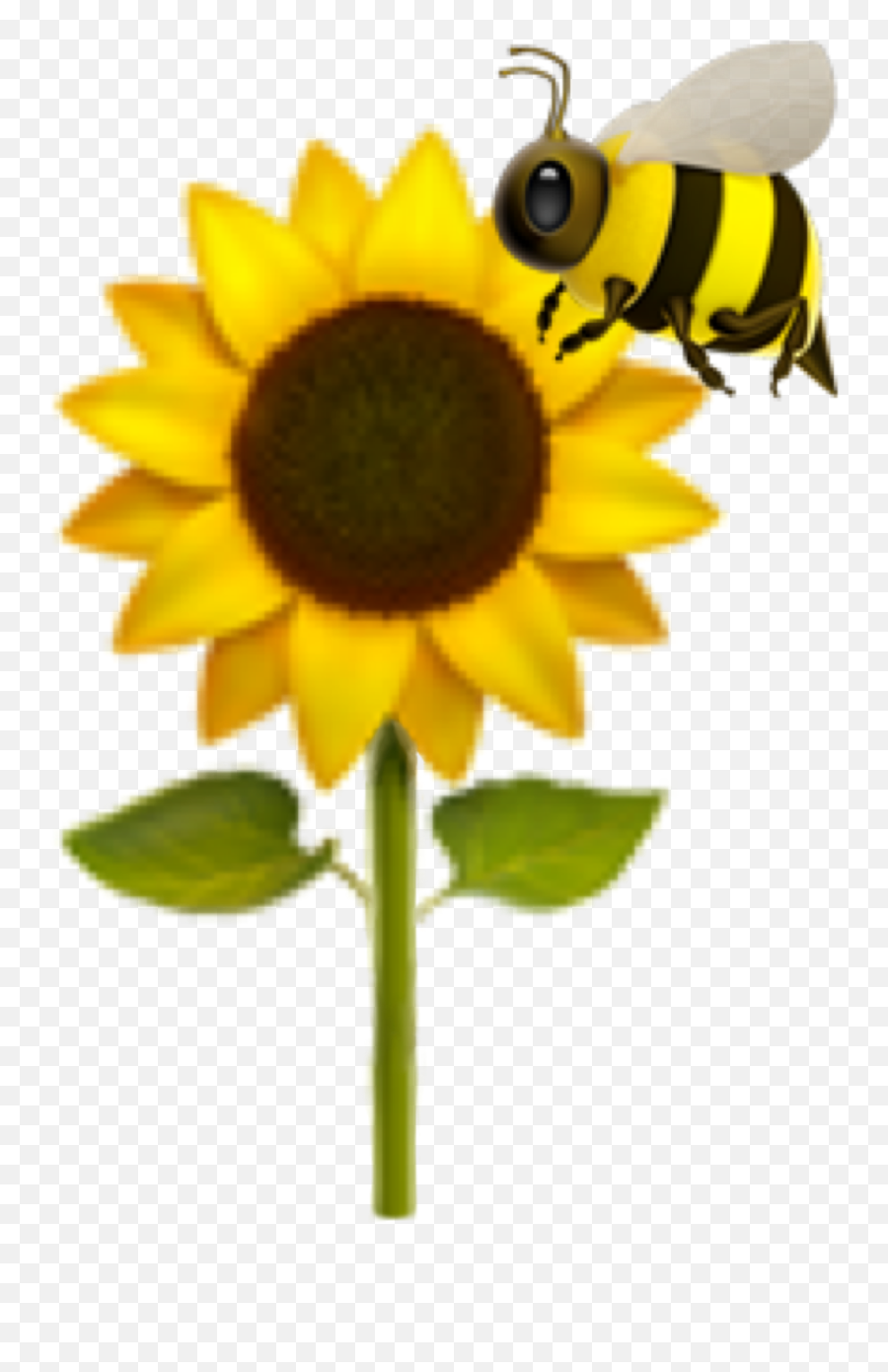 Bee Honeybee Sunflower Emoji Sticker - Sunflower Iphone Emoji Png,Bug Emoji