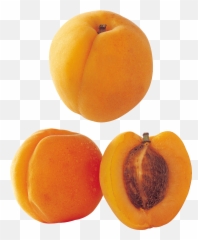 Download Sliced Peaches Png Image Hq - Sliced Peach Png Emoji,Peaches Emoji