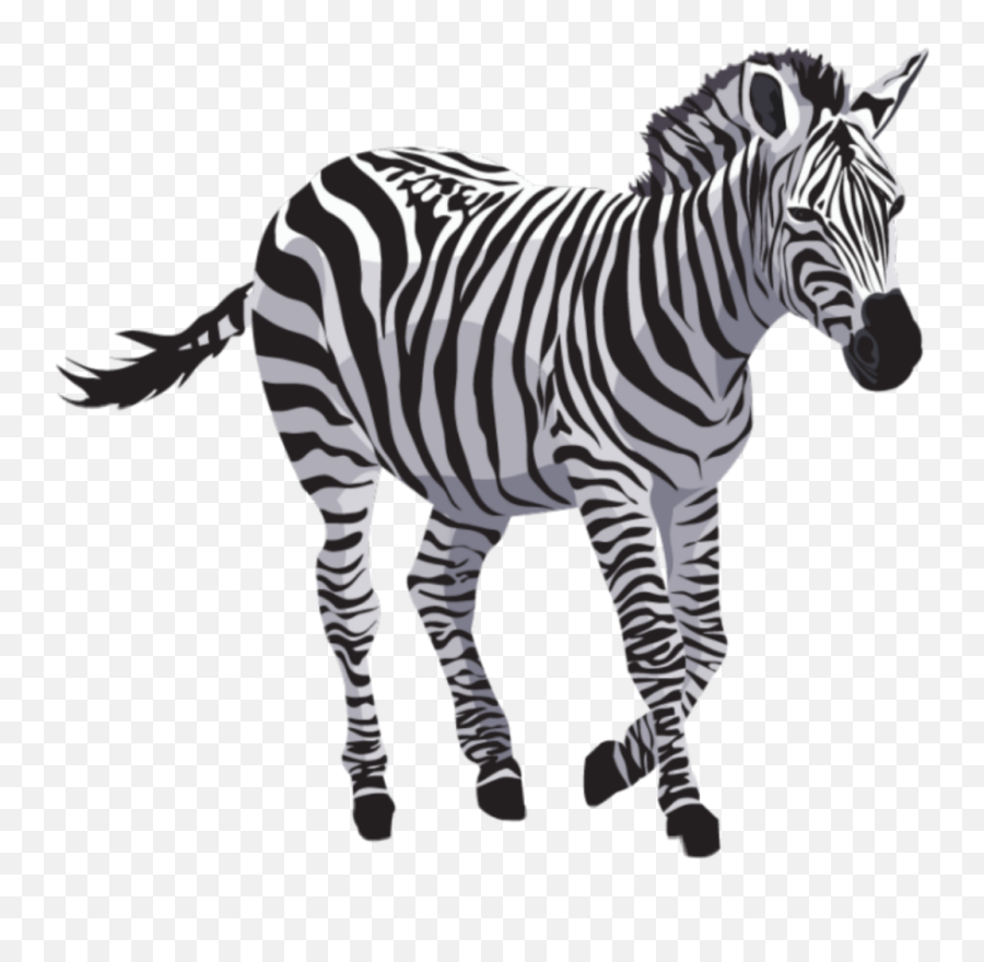 Zebra - Zebra Png Emoji,Zebra Emoji