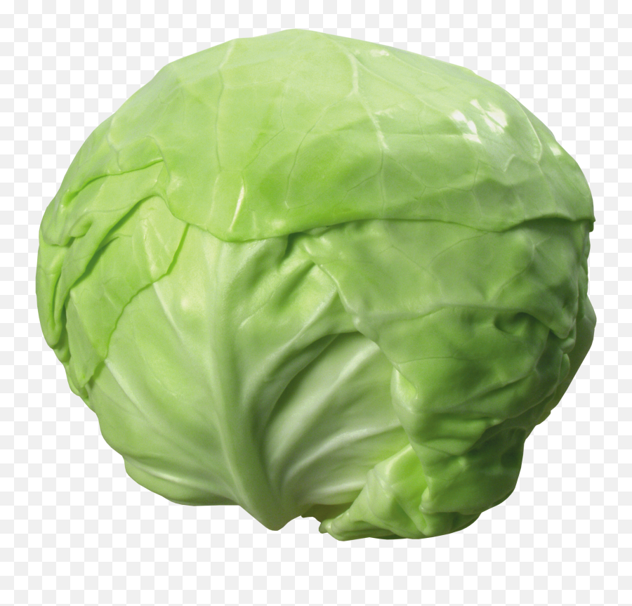 Amazing Cliparts Vegetables Clipart Pngs 40 Yespress - Cabbage Vegetables Png Emoji,Lettuce Emoji
