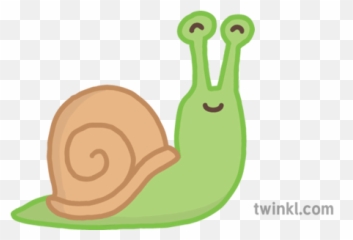 Snail Cute Animalsemoji Story Book Differentiated Book - Laughing Dog Black And White,Snail Emoji