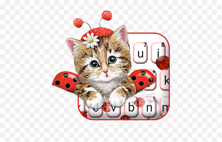 Cute Ladybird Kitten Keyboard Theme - Buongiorno Immagini Nuove Gratis Emoji,Kitten Emoticons