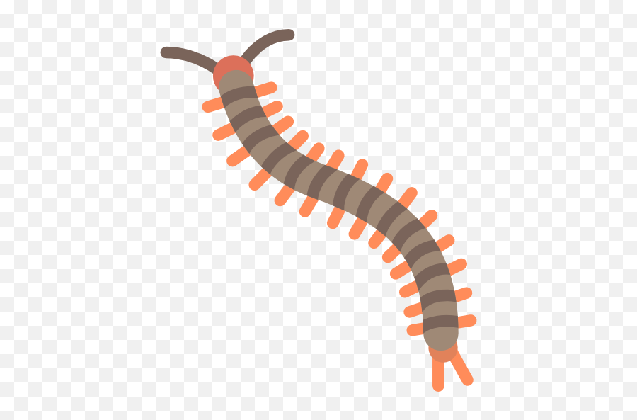 Insects Centipede Transparent Png - Centipede Clipart Png Emoji,Centipede Emoji
