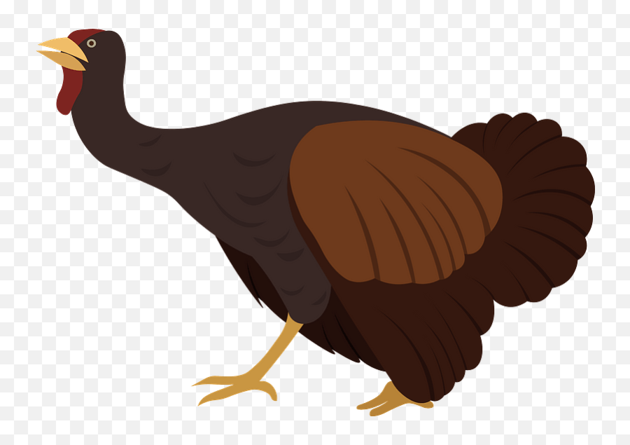 Turkey Clipart - Wild Turkey Emoji,Turkey Emoji