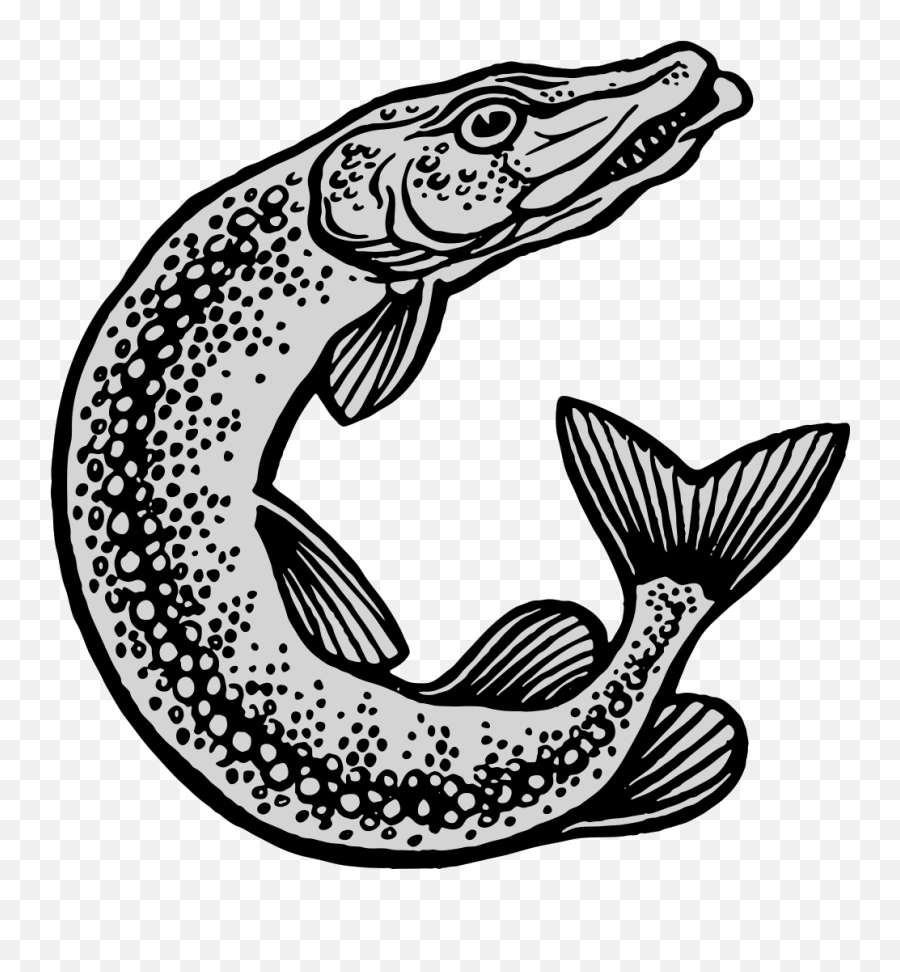 Jumping Fish Png Svg Clip Art For Web - Download Clip Art Esox Lucius Emoji,Fish Flag Emoji