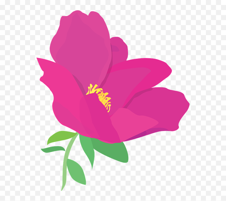 Flowers Flower Pink - Japanese Camellia Emoji,Japanese Emoji Flower