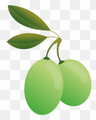 Olives Green Oil Olive Plants Food - Aceitunas Dibujo Png Emoji,Olive Oil Emoji
