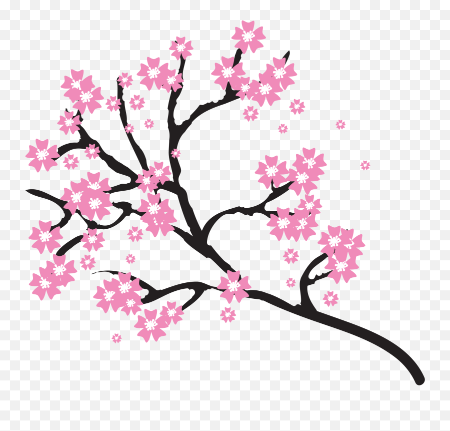 Library Of Sakura Flower Image Black And White Stock Png - Cherry Blossoms Clip Art Emoji,Sakura Flower Emoji