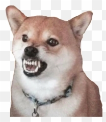 Traves Callmecarson Rar Freetoedit - Traves Dog Emoji,Shiba Emoji