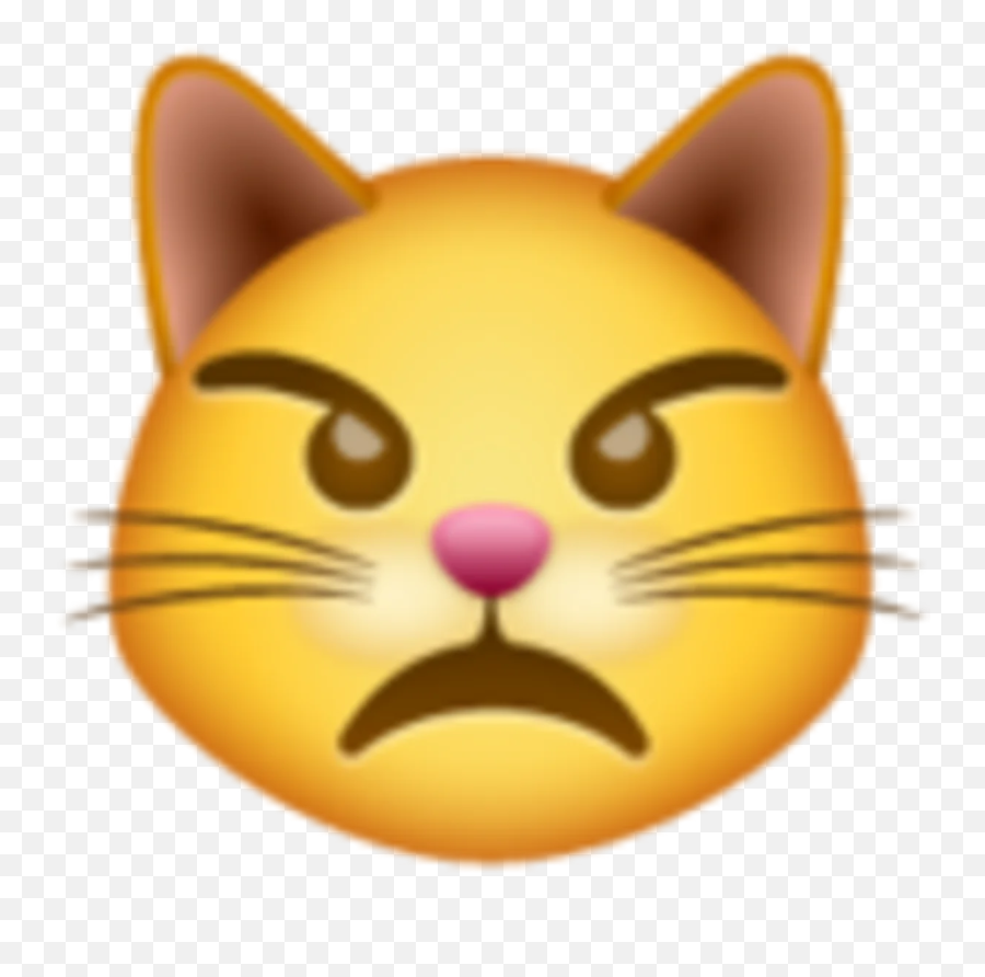 El Significado De Los Emojis De Whatsapp Qué Significa Cada Uno - Smirk Cat Emoji Transparent,Significado De Los Emojis