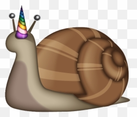 Emoji - Lymnaeidae,Snail Emoji