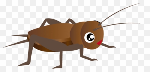 Cricket Clipart Picture - Bug Cricket Clip Art Emoji,Cricket Emoji With Sound
