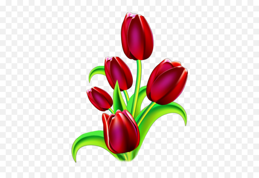 Tulips Flower Flowers Redflowers Rose - Tulip Emoji,Tulips Emoji