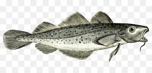 Cod Fish Vector Clipart Image - Transparent Cod Fish Png Emoji,Jesus Fish Emoji