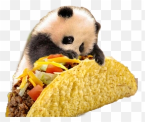 Cute Tacos - Sticker By Zuzina Taco Emoji,Tacos Emoji
