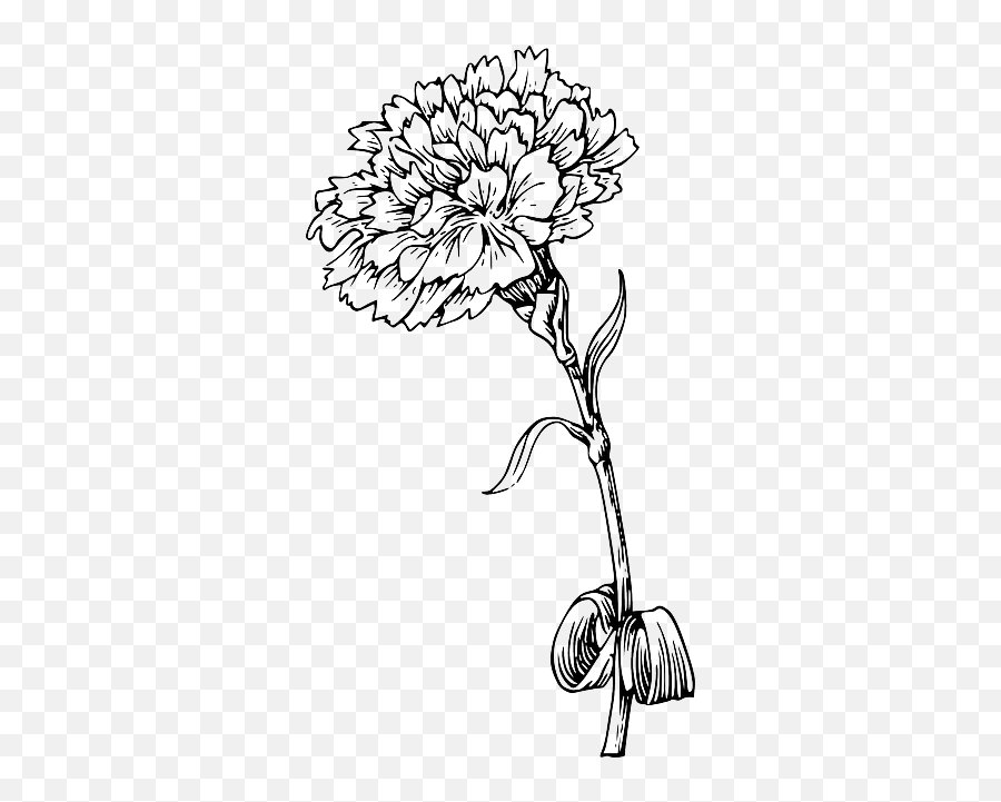 White Flower Outline Transparent U0026 Png Clipart Free Download - Marigold Flower Black And White Emoji,Black And White Flower Emoji