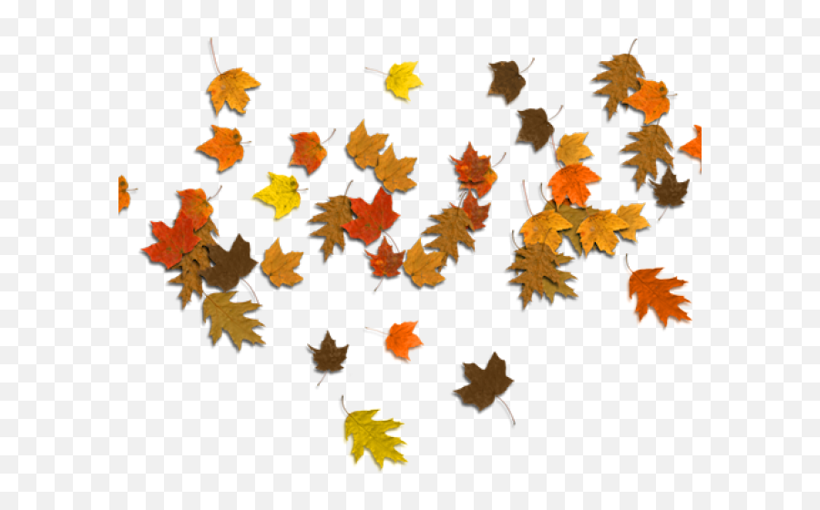 Fall Leaves Garland Clipart Transparent Background Free - Autumn Leaves Transparent Background Emoji,Fall Leaf Emoji