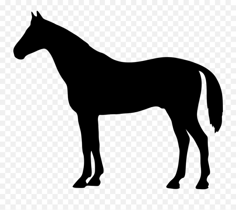 Free Shadow Silhouette Vectors - Horse Silhouette Clipart Emoji,How To Make Emojis With Keyboard