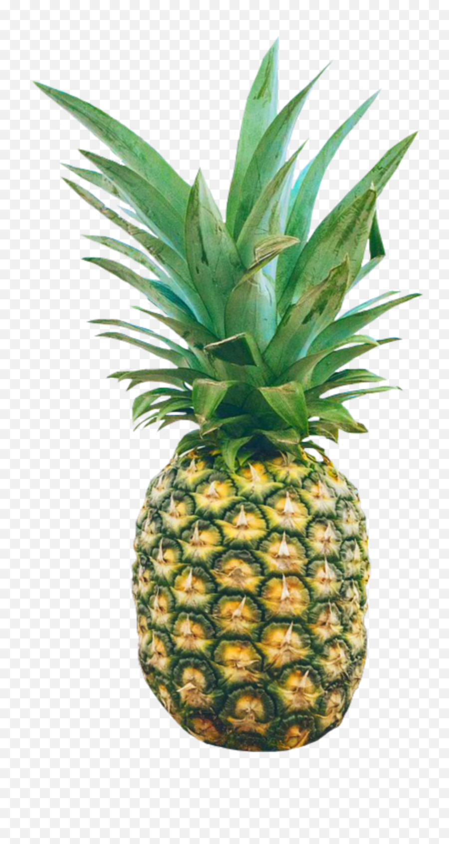 Pineapple Ananas Ananas Summer Ital - Pineapple Psychedelic Emoji,Pinapple Emoji