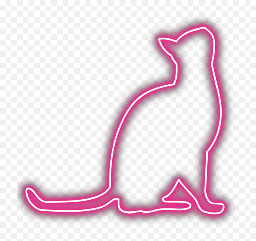 Cat Pussy Kitty Pink Neon Typography - Cat Neon Png Emoji,Emoji For Pussy