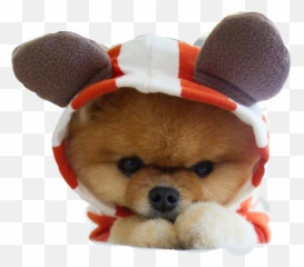 Jiffpom Freetoedit - Jiffpom Sad Emoji,Jiffpom Emoji