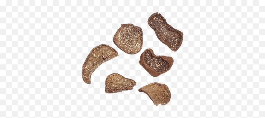 Search Results For Can Openers Png Hereu0027s A Great List Of - Black Truffle Slices Emoji,Walnut Emoji