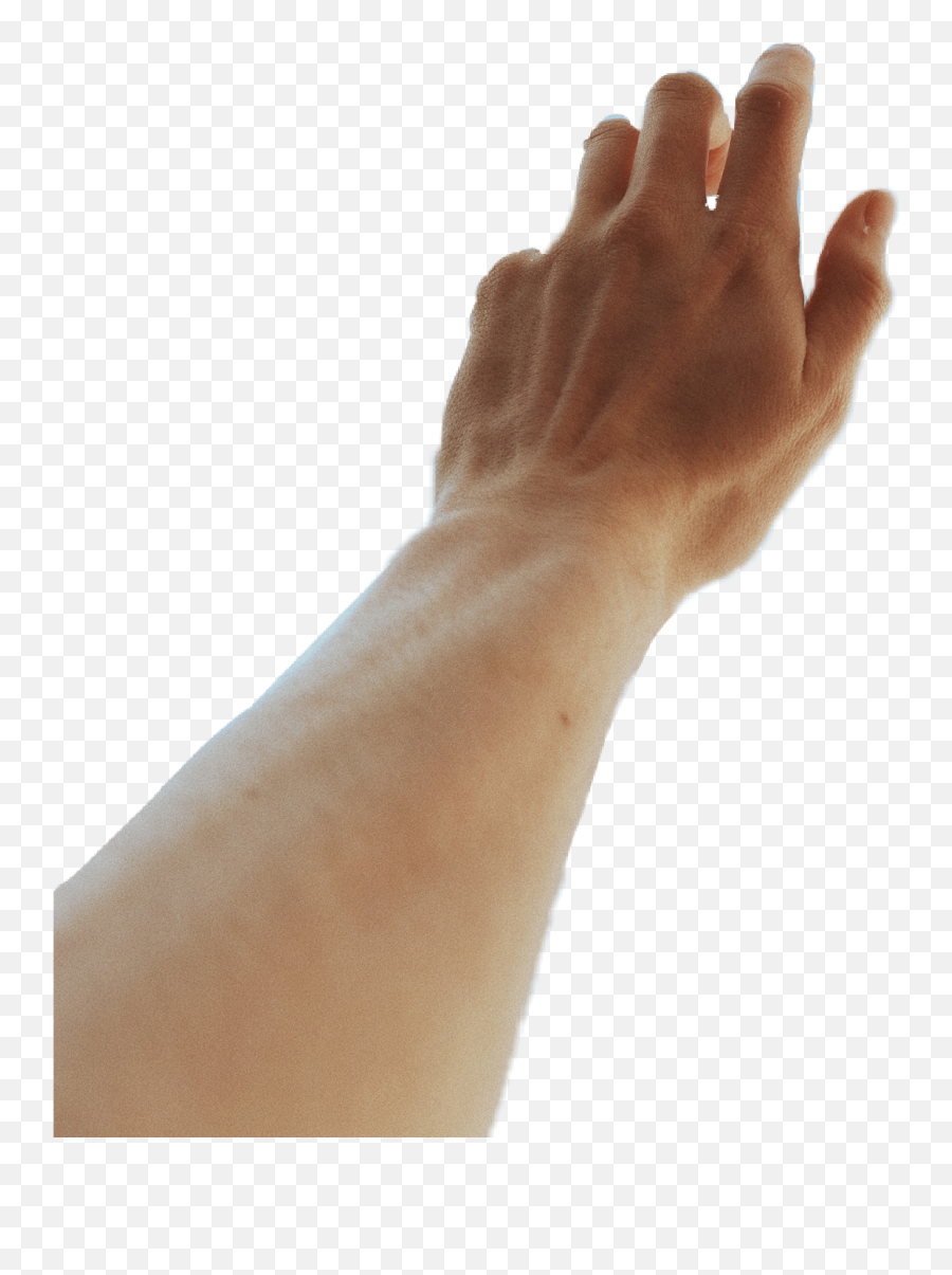 Bodypart Arm Emoji,Brown Praying Hands Emoji