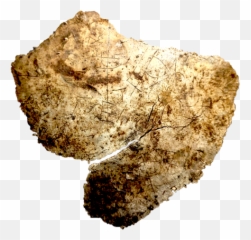 Archaeologist - Hadrians Wall Chalice Emoji
