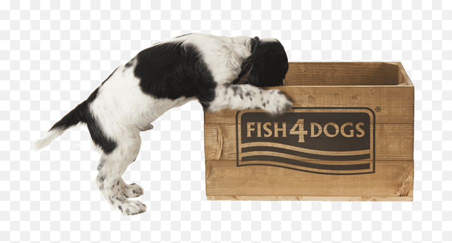 Join The Fish4dogs Puppy Club - Fish4dogs Emoji,Puppy Dog Eyes Emoticon