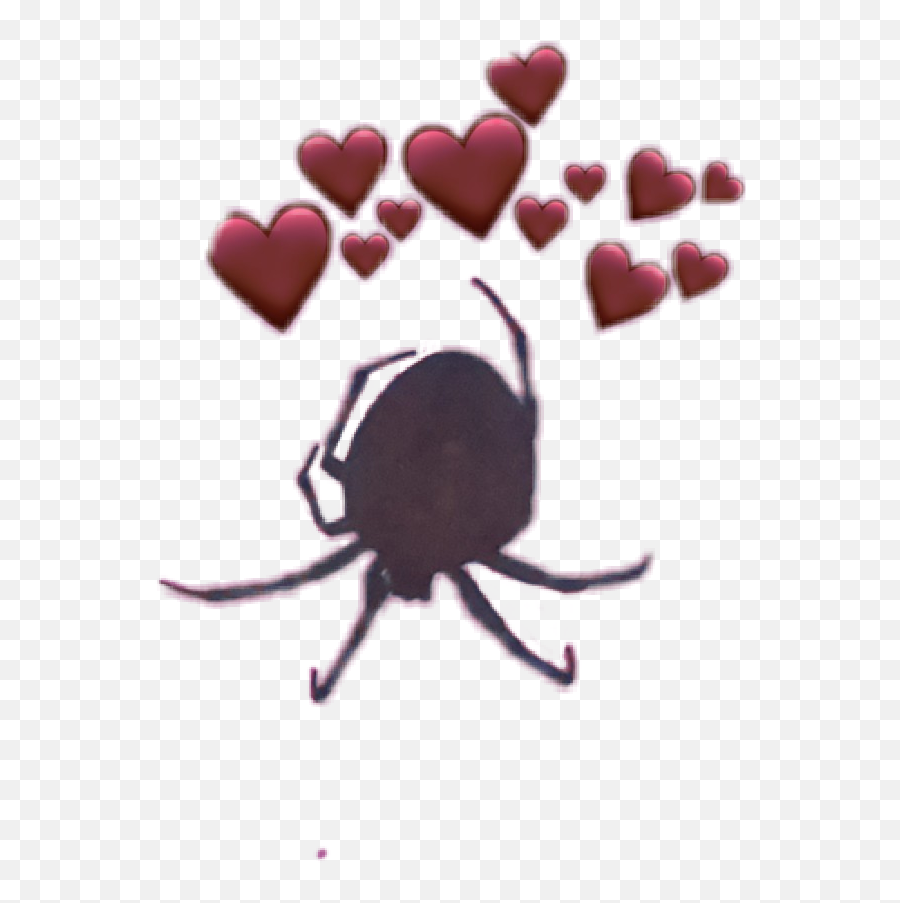 Sprider Spiderweb Spider Red Aesthetic - Coronas De Corazones Png Tumblr Color Verde Agua Emoji,Spider Emojis