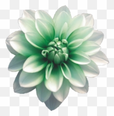 Transparent Flower - Aesthetic Green Flowers Png Emoji