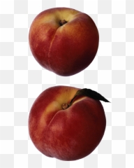 Peach Png And Vectors For Free Download - Dlpngcom Durazno Fruta Gif Emoji,Peach Emoji Png